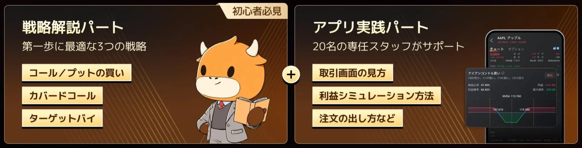 初心者向け戦略とアプリ実践