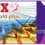 【TOPIXゴールドプラス】日本株と金に2倍投資？少額投資を始める初心者が知るべき高リスク・高リターン投資信託の基礎知識