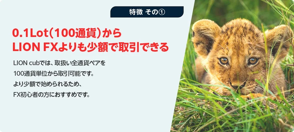 0.1Lot(100通貨)から LION FXよりも少額で取引できる