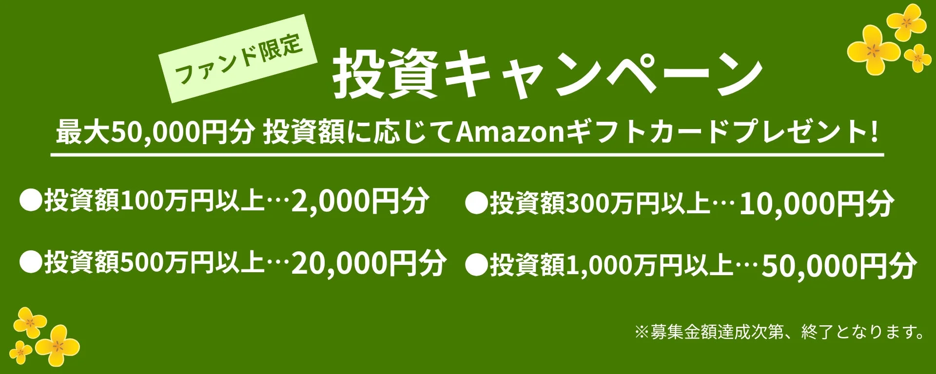 投資キャンペーン